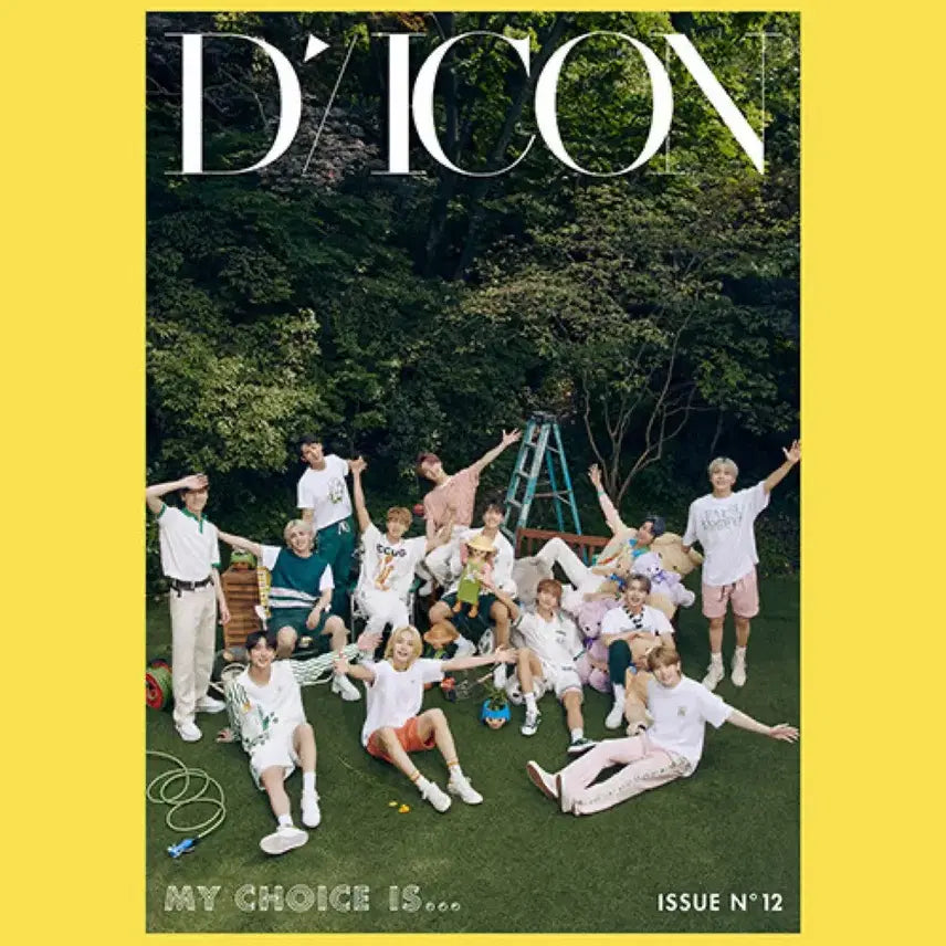[BUNJANG] Seventeen Dicon Complete Edition Photocard Set / 세븐틴 디아이콘 종합판