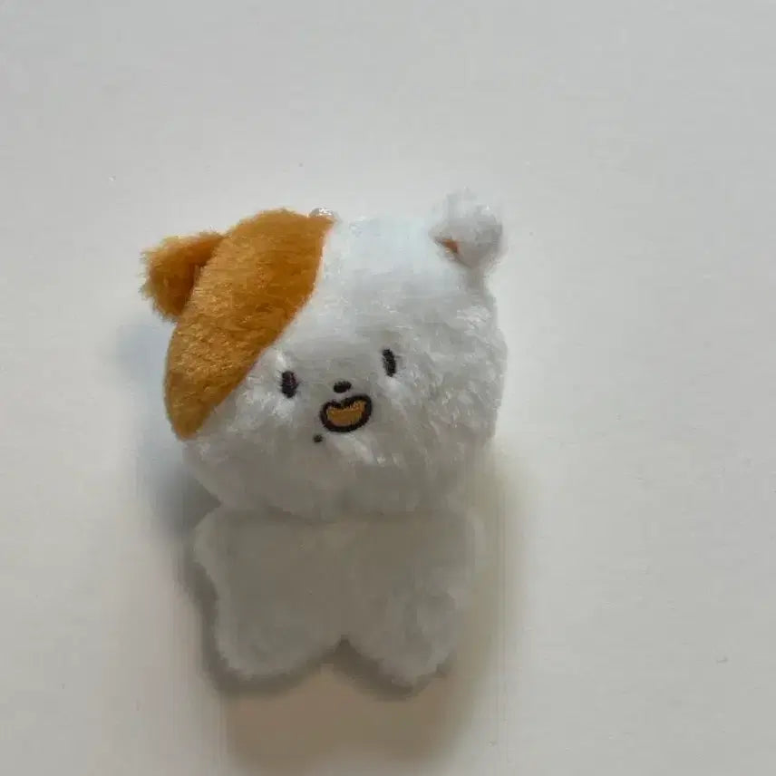 [BUNJANG] Jisung 8cm Doll Pocketjji / 지성 8cm인형 포켓찌