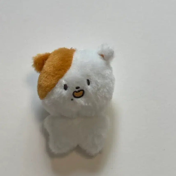 [BUNJANG] Jisung 8cm Doll Pocketjji / 지성 8cm인형 포켓찌