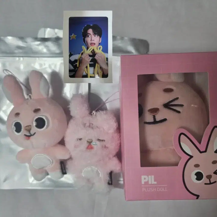 [BUNJANG] Day6 Dennymals Wonpil Wink, Coolcool, Merong Bundle Set / 데이식스 데니멀즈 윙크 19 필끼 ,쿨쿨,메롱 필 일괄 양도 원필 솔콘