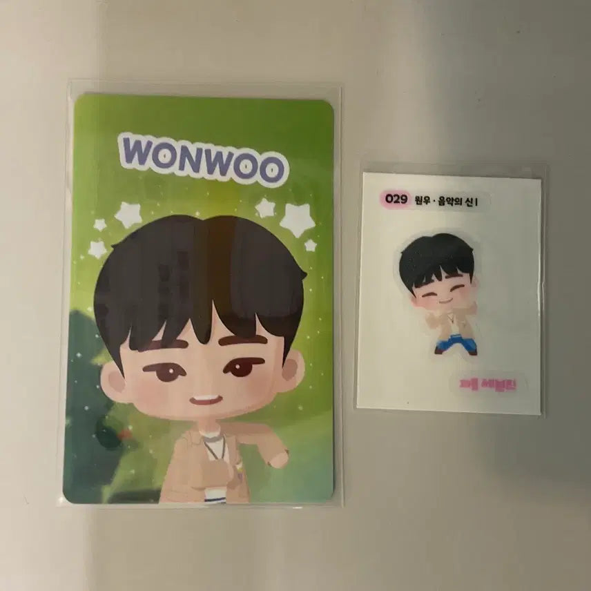 [BUNJANG] SEVENTEEN Puzzle Wonwoo Photocard Bundle Set / 세븐틴 퍼즐세븐틴 포카 띠부씰 일괄 양도