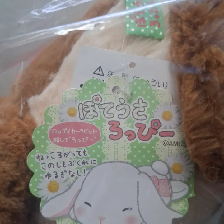 [BUNJANG] Poteusa Ropi Plush / 포테우사 롯피