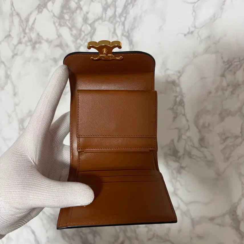 [BUNJANG] Celine Triomphe Wallet / [OS] 셀린느 트리옹프 지갑