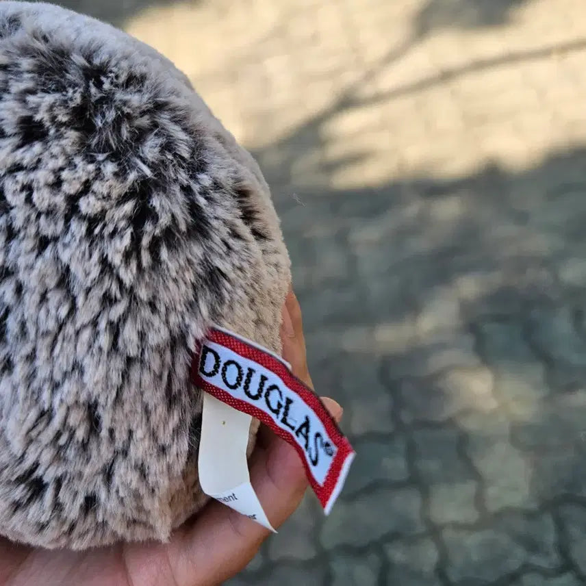[BUNJANG] Douglas Hedgehog Plush / 더글라스Douglas 고슴도치 인형