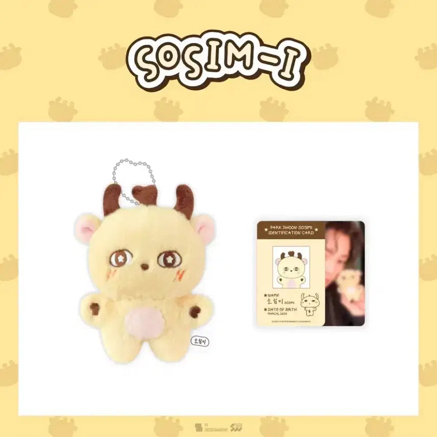 [BUNJANG] Park Jihoon &