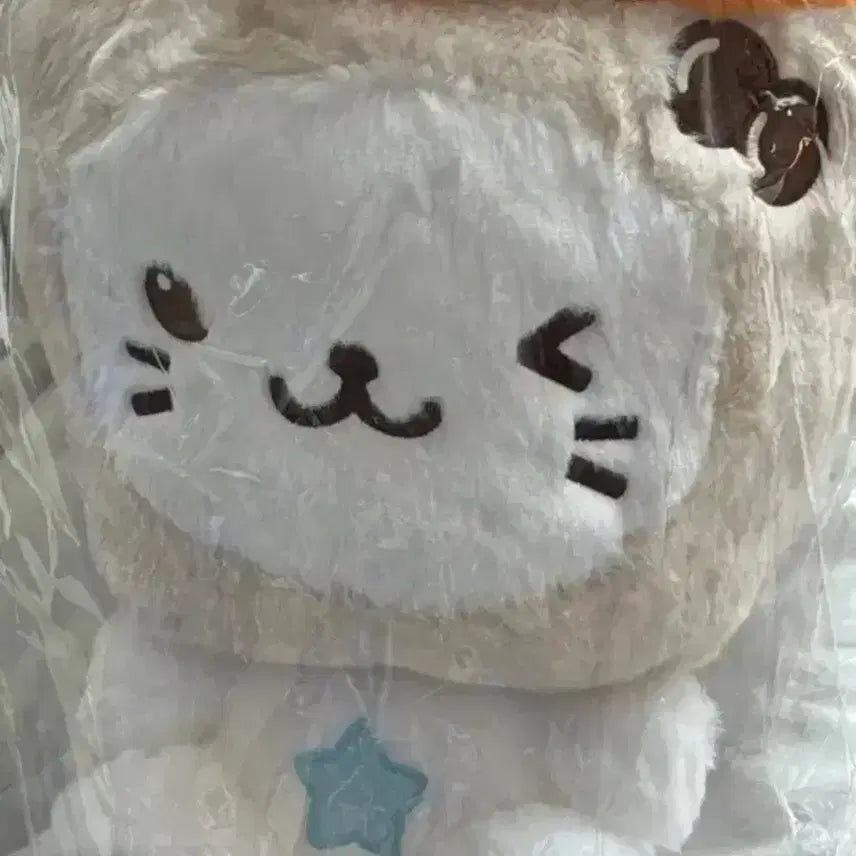 [BUNJANG] 30cm Bubble Cat Yuushi Doll / 30cm 버블냥 유우시 인형 버블냥 위시돌 인형