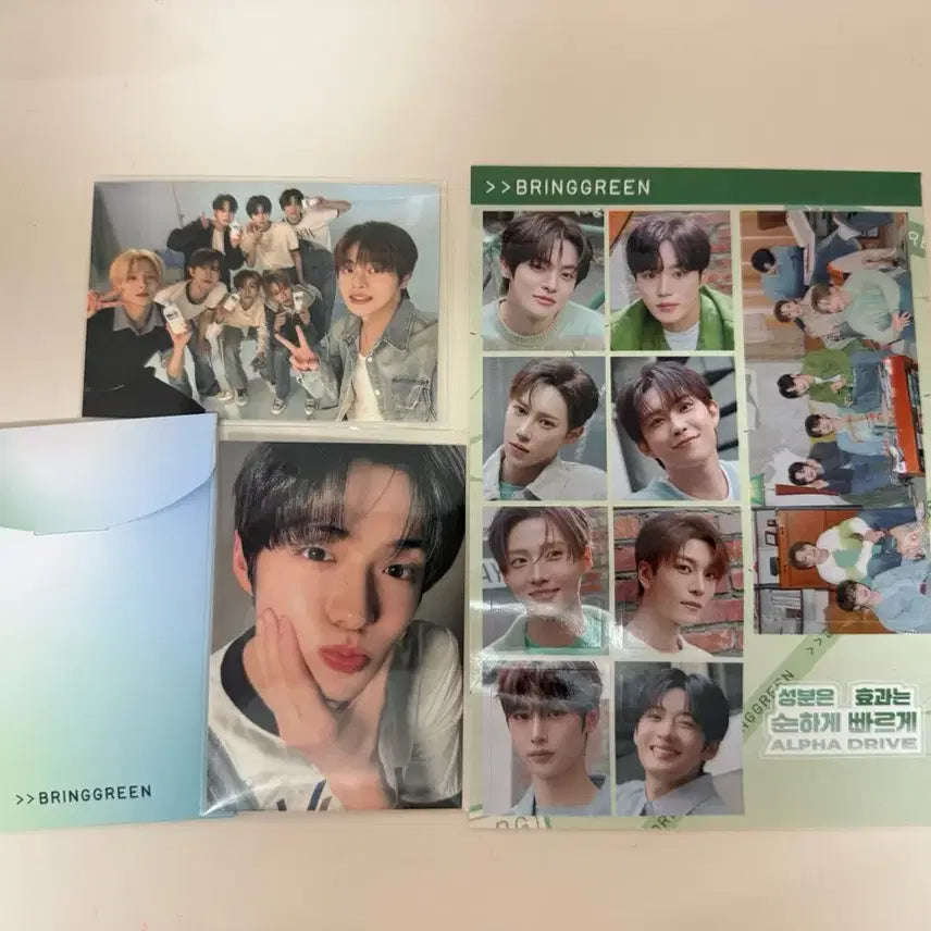 [BUNJANG] Bringgreen NORMALHYUN Photocard Set / 알파드라이브원 알디원 올리브영 브링그린 포카 정상현 단체 스티커 세트