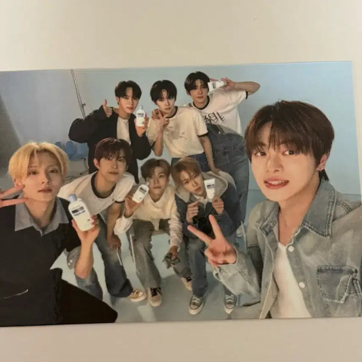 [BUNJANG] Bringgreen NORMALHYUN Photocard Set / 알파드라이브원 알디원 올리브영 브링그린 포카 정상현 단체 스티커 세트