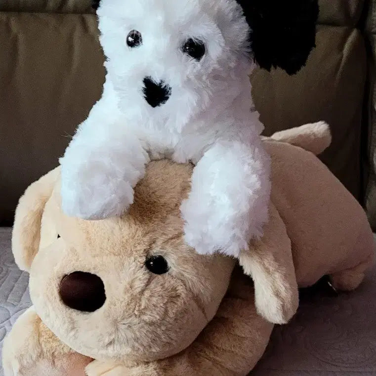 [BUNJANG] Jjang Arcade Cutie Puppy Poodle 20cm &amp; EZEN Mungmungie Lying Backpack Bag Plush / 짱오락실 큐티 퍼피 푸들 20cm+EZEN 뭉뭉이 라잉백팩 가방인형