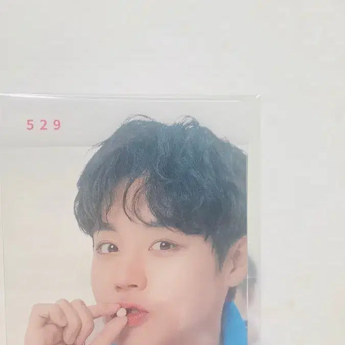 [BUNJANG] Park Jihoon Wingging &amp; Formoline Edition Photocard / 박지훈 윙깅이랑 포모라인 에디션 3종