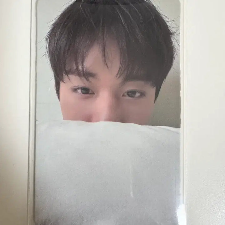 [BUNJANG] Park Ji Hoon Seater Photocard / 박지훈 시터 포카
