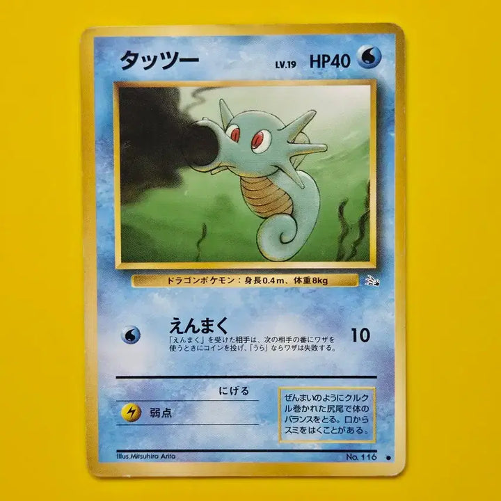 [BUNJANG] Pokemon Card Dratini and Seadra Set Early Japanese Edition / 포켓몬카드1996 쏘드라 시드라 세트 초기 일본판3