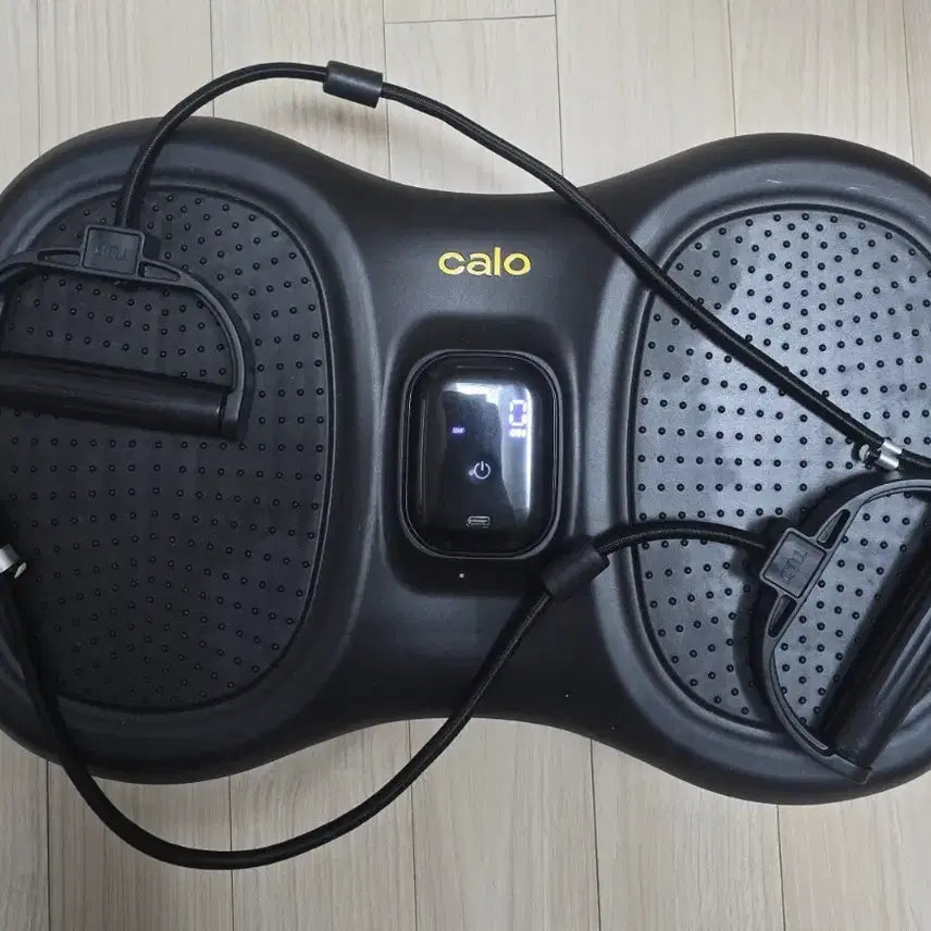 [BUNJANG] Kalo Twister Vibration Machine / [S급/테스트1회] 칼로 트위스터 진동운동기 (홈트 덜덜이) 판매합니다.
