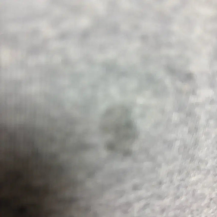 [BUNJANG] Acne Studios Sweatshirt Grey / 아크네 맨투맨