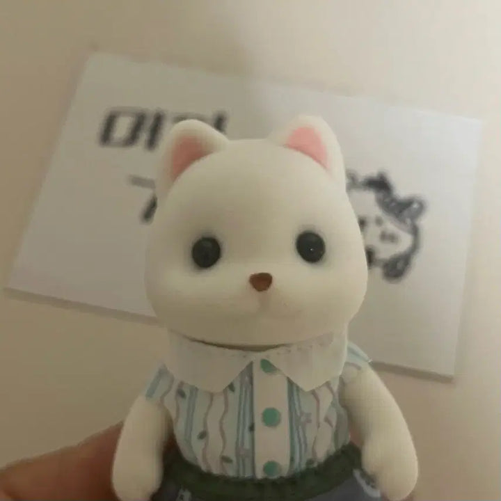 [BUNJANG] Sylvanian Families Pomeranian Family Set / 실바니안 포메라니안 엄마 아빠 일괄