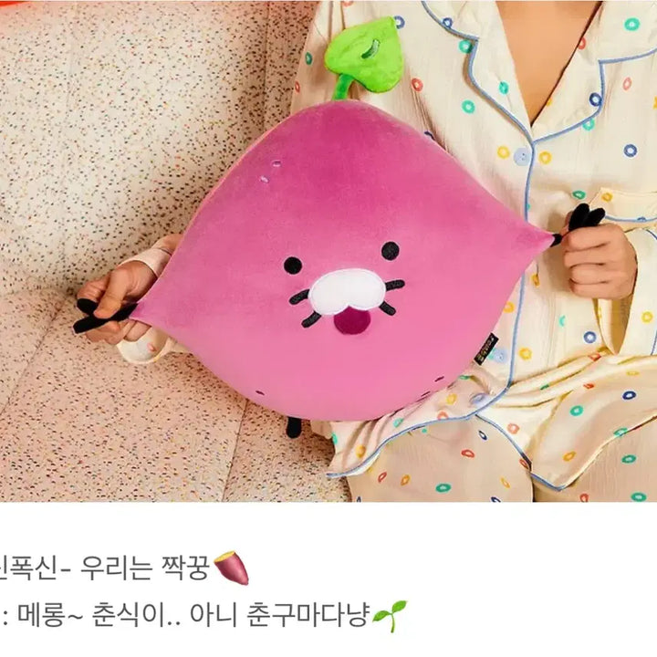 [BUNJANG] Kakao Friends Choonsik Chunshik Bus Plush / 새상품)메롱춘구마 춘식버스 춘식이 카카오 인형