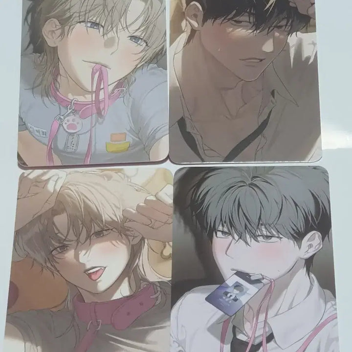 [BUNJANG] Mable Company 4-Piece Photocard Set / 미블컴퍼니 사용 후 반품불가 포카 포토카드 4종 세트