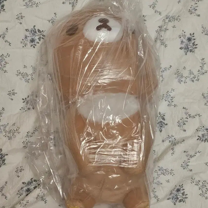 [SOLD OUT] 차이로이코구마 xl 대형 인형