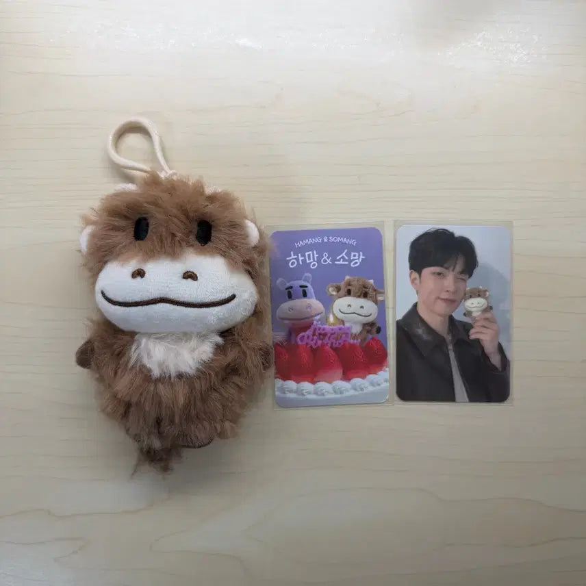 [BUNJANG] Yoo Hweseung "Somi" Photocard / 엔플라잉 유회승 소망이 양도