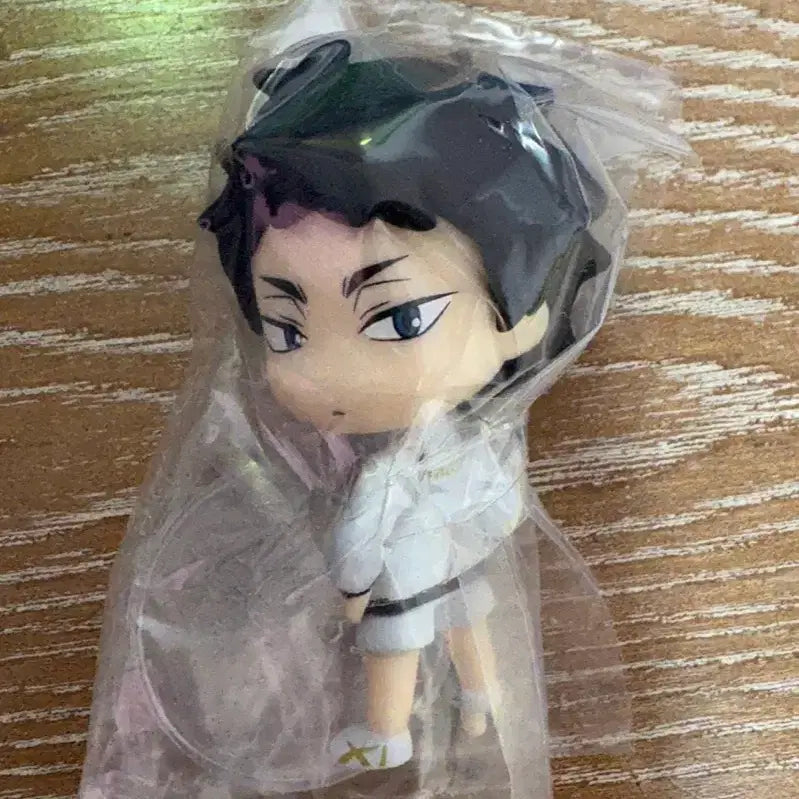 [BUNJANG] Haikyuu!! Hajime Iwaizumi Figure / 하이큐 이와이즈미 하지메 피규어