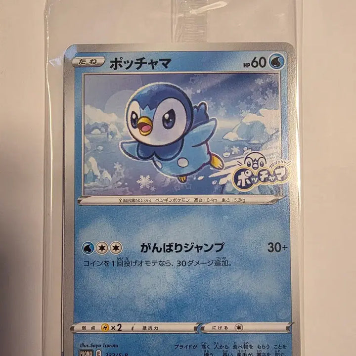[BUNJANG] Pokemon Card Piplup Promo Sealed / 포켓몬카드 팽도리 프로모 미개봉