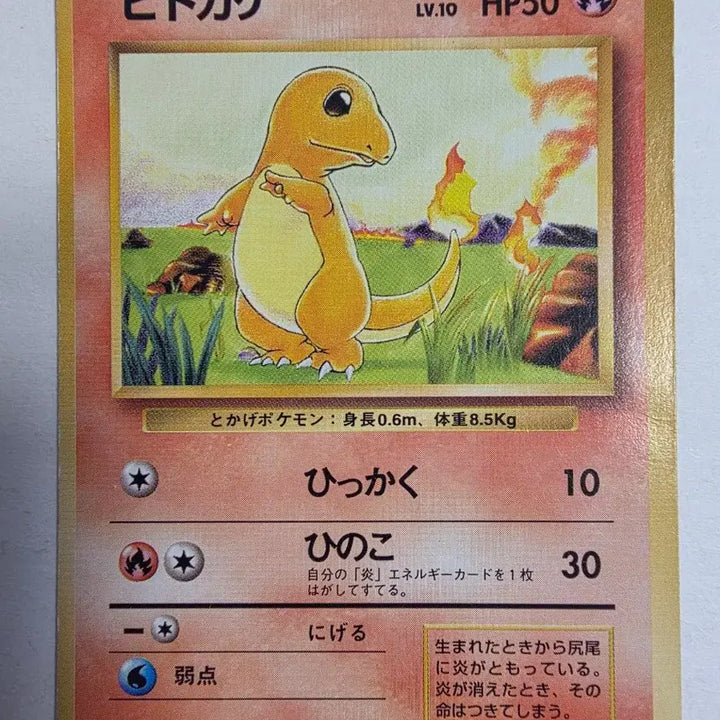 [BUNJANG] Pokemon Card Charmander 1996 First Edition / 포켓몬카드 1996 초기 파이리
