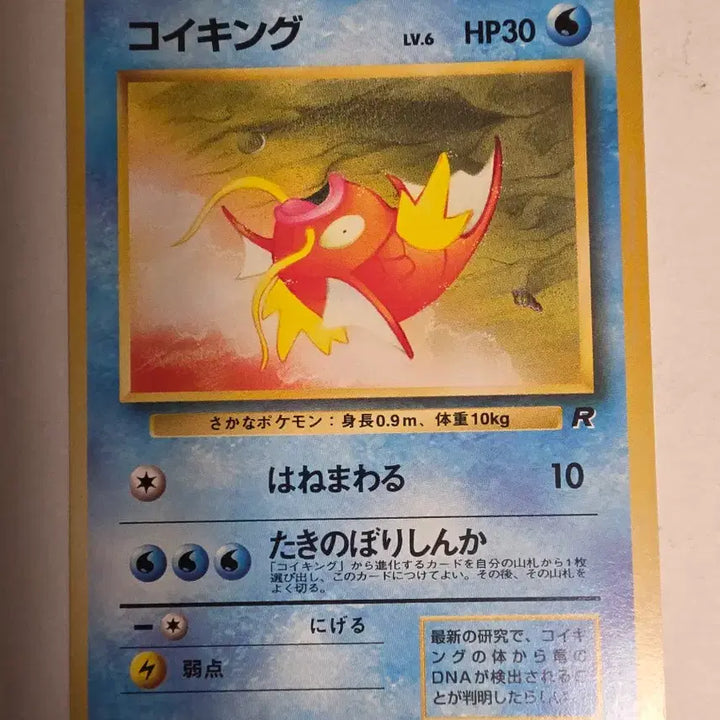 [BUNJANG] Pokemon Magikarp 1996 First Edition Card / 포켓몬카드 1996 초기 잉어킹