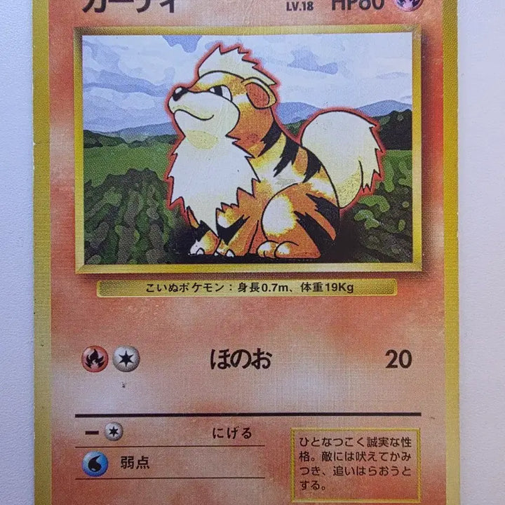 [BUNJANG] Pokemon Card 1996 Vulpix / 포켓몬카드 1996 초기 윈디