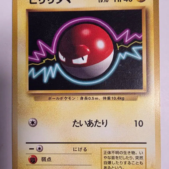 [BUNJANG] Pokemon Card 1996 Voltorb / 포켓몬카드 1996 초기 찌리리공