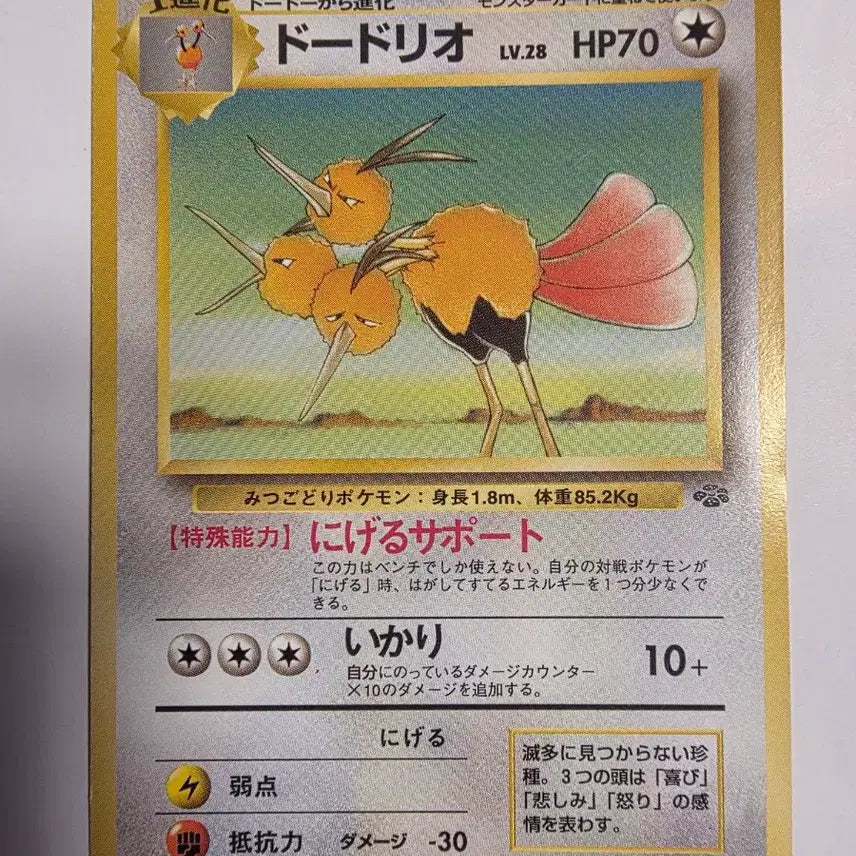 [BUNJANG] Pokemon Card 1996 Dodrio (Early Edition) / 포켓몬카드 1996 초기 두두리오