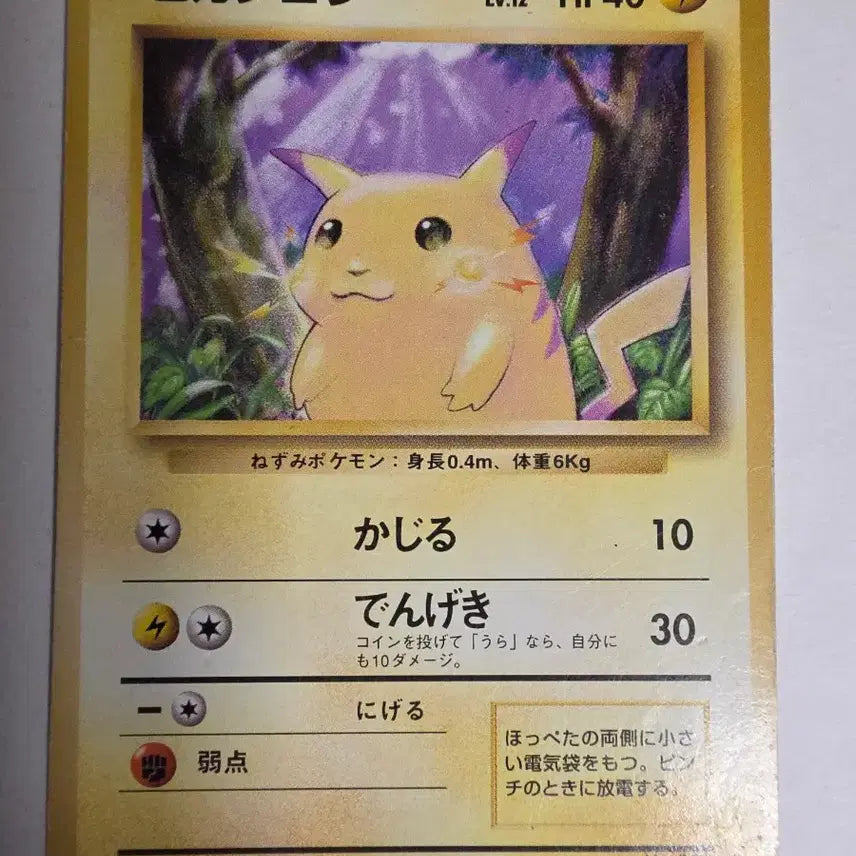 [BUNJANG] Pokemon Card 1996 Pikachu (Base Set) / 포켓몬카드 1996 초기 피카츄