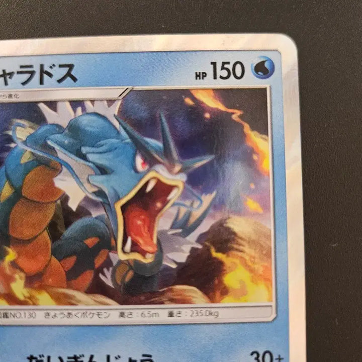 [BUNJANG] Gyarados 028/095 (SM9) Japanese Holo Pokemon Card / [일판/홀로] 갸라도스 028/095 (sm9) 포켓몬카드