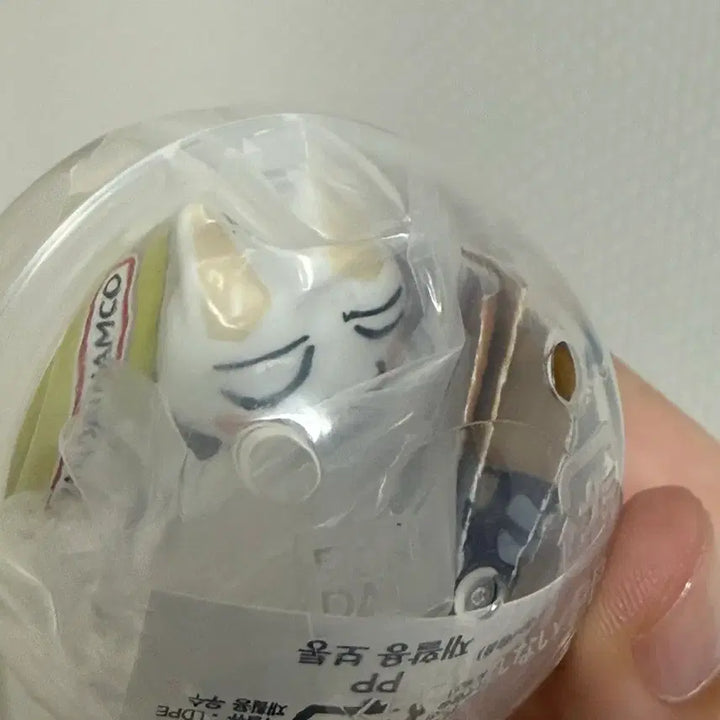 [BUNJANG] Dokodemo Issho Toro Machiboke Gacha Number 4 Toro B (Sealed) / (미개봉) 도코데모잇쇼 토로 마치보케 언제오려나 가챠 4번 토로B