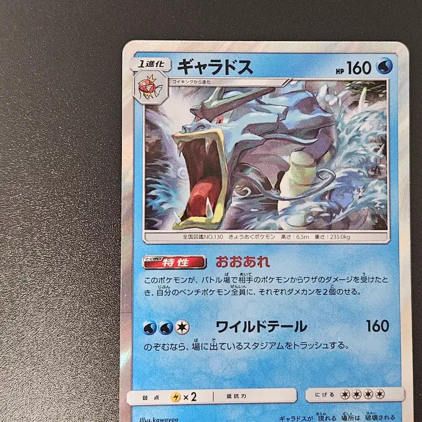 [BUNJANG] Gyarados 016/052 (sm6a) Holo Pokemon Card / [일판/홀로] 갸라도스 016/052 (sm6a) 포켓몬카드