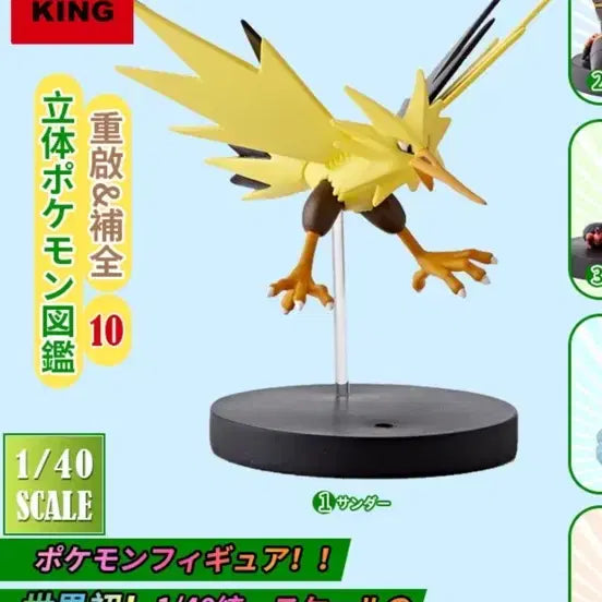 [SOLD OUT] 포켓몬 입체도감 1/40 1:40 썬더 파이어