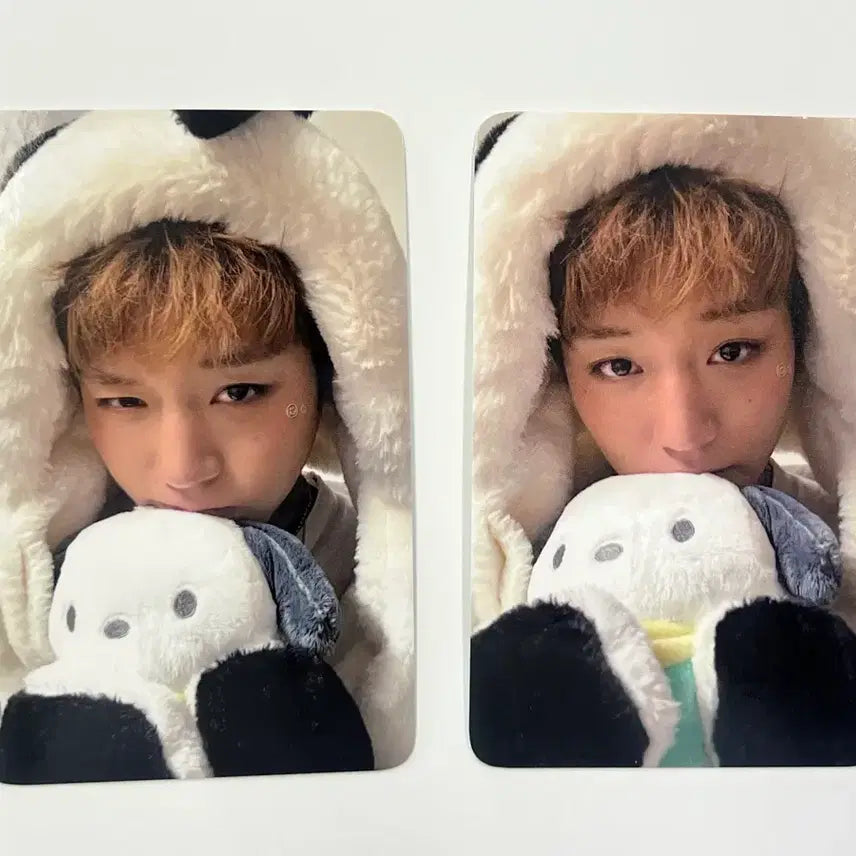 [BUNJANG] Park Jihoon Beat Road Fan Sign Lucky Draw Photocard Set (2 Types) / 박지훈 비트로드 대면팬싸 포차코 미공포2종