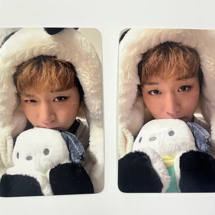[BUNJANG] Park Jihoon Beat Road Fan Sign Lucky Draw Photocard Set (2 Types) / 박지훈 비트로드 대면팬싸 포차코 미공포2종