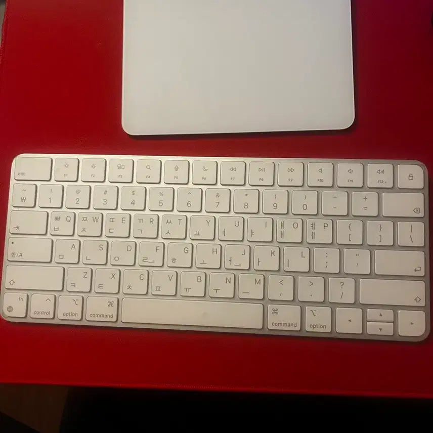 [BUNJANG] Apple Magic Keyboard and Trackpad Set / 애플 매직키보드,트랙패드 (두개 포함15)
