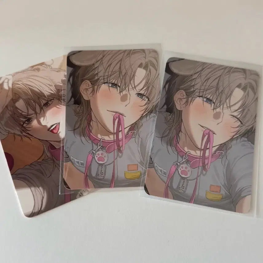 [SOLD OUT] 일괄) 미블 팝업 사용후 반품불가 제희 5만원 특전 포카 포토카드 사반불