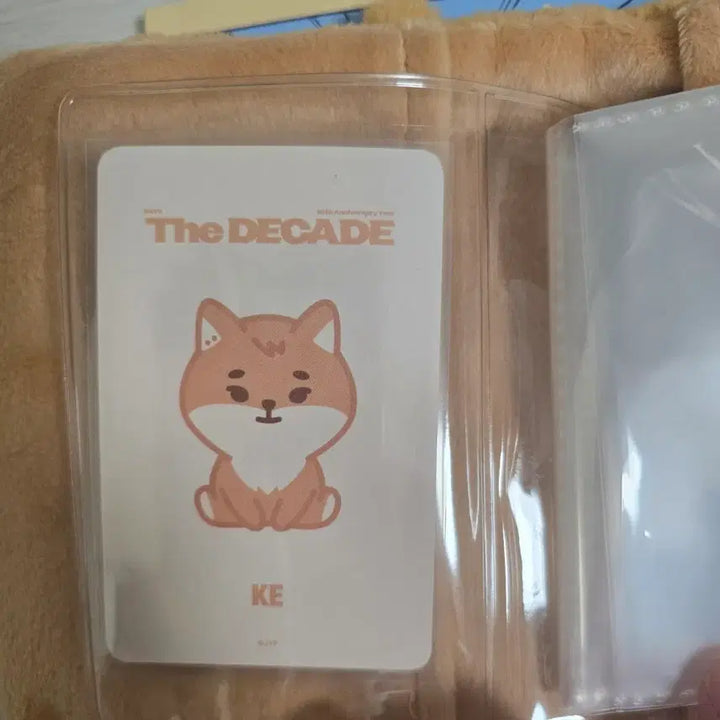 [BUNJANG] DAY6 Petite Merls K Collect Book / 데이식스 쁘띠멀즈 케 콜렉트북