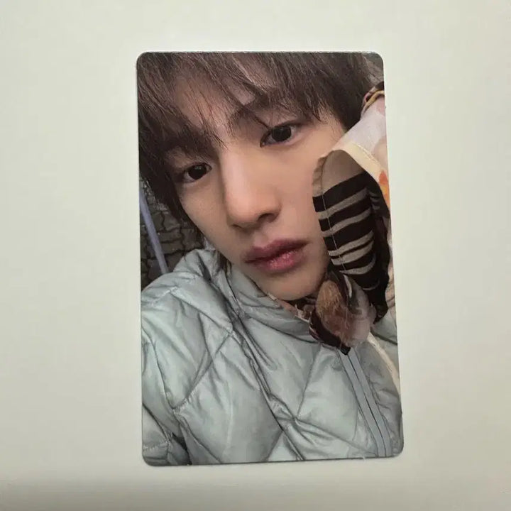 [BUNJANG] Weverse Shop Japan Jung Hoon Photocard / 그린그린 주훈 위버스샵 특전 팝니다
