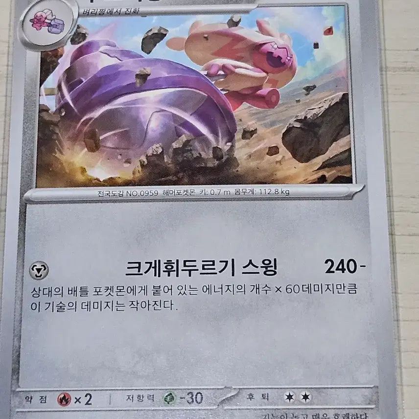 [BUNJANG] Pokemon Cards Dweller, Tadbulb / 포켓몬 카드 벼리짱, 두드리짱