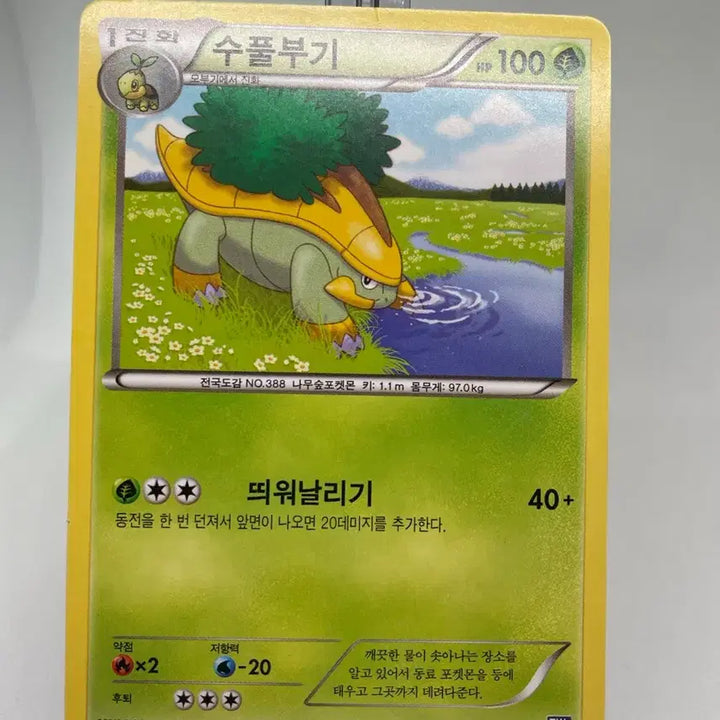 [BUNJANG] 2013 Groudon BW Vintage Pokémon Card / 2013년 수풀부기 bw 고전카드 빈티지카드 포켓몬카드