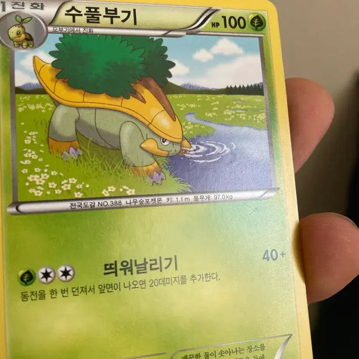 [BUNJANG] 2013 Groudon BW Vintage Pokémon Card / 2013년 수풀부기 bw 고전카드 빈티지카드 포켓몬카드