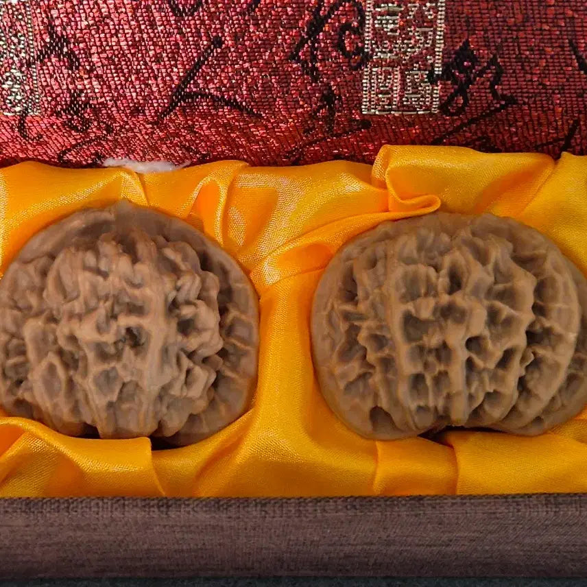 [BUNJANG] Moon Walnut (Triangle Walnut) / 문완호두(삼각호두)