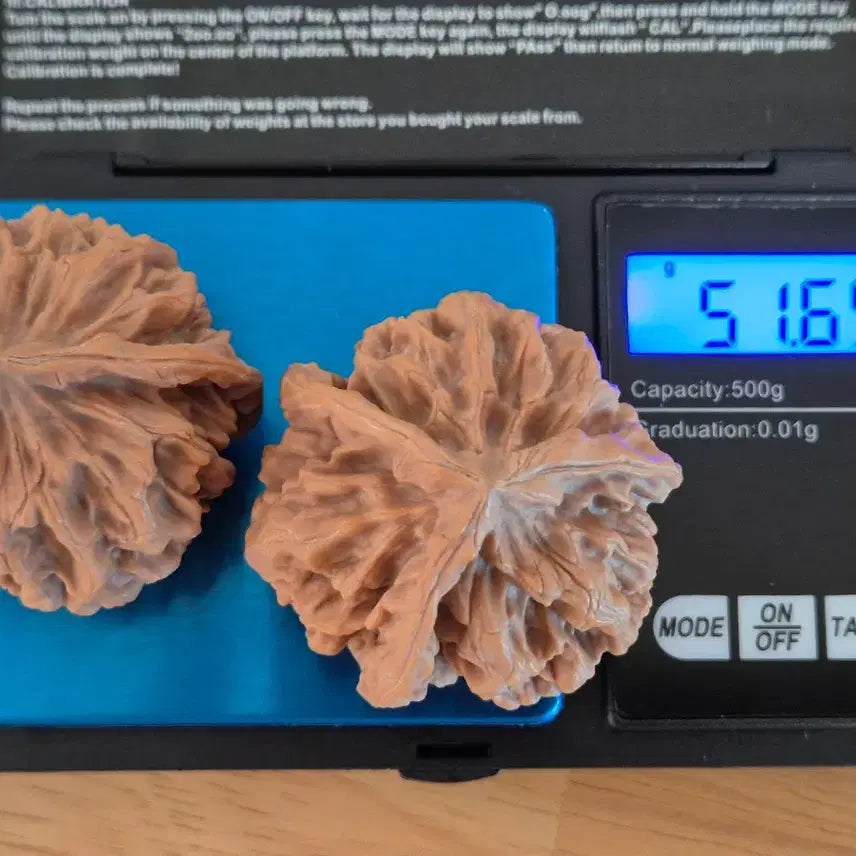 [BUNJANG] Moon Walnut (Triangle Walnut) / 문완호두(삼각호두)