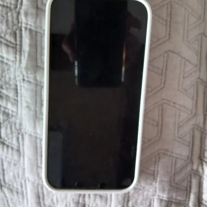 [BUNJANG] Apple iPhone 13 Pro Max 128GB Silver / 아이폰 13 Pro Max 실버 128GB (배터리84, 새상품급)