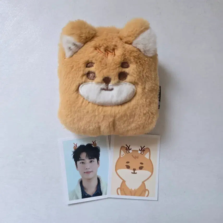 [BUNJANG] DAY6 Young K The Present Photocard / 데이식스 the present 영케이 케