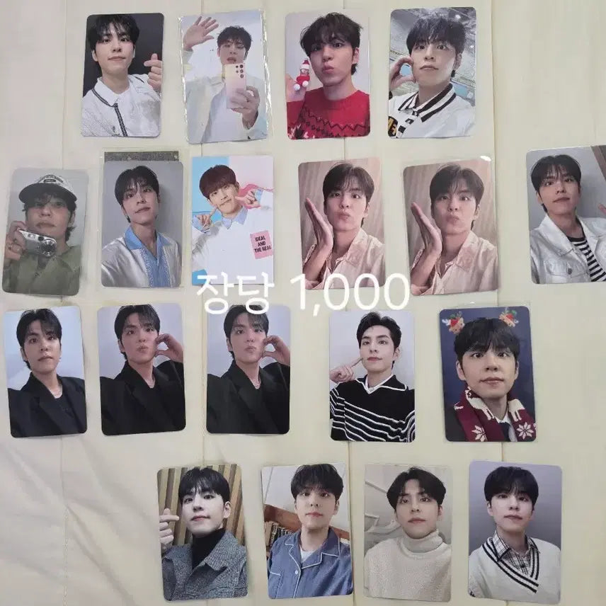 [BUNJANG] Day6 Wonpil Sungjin Photocard Bundle Set / 데이식스 원필 성진 포토카드