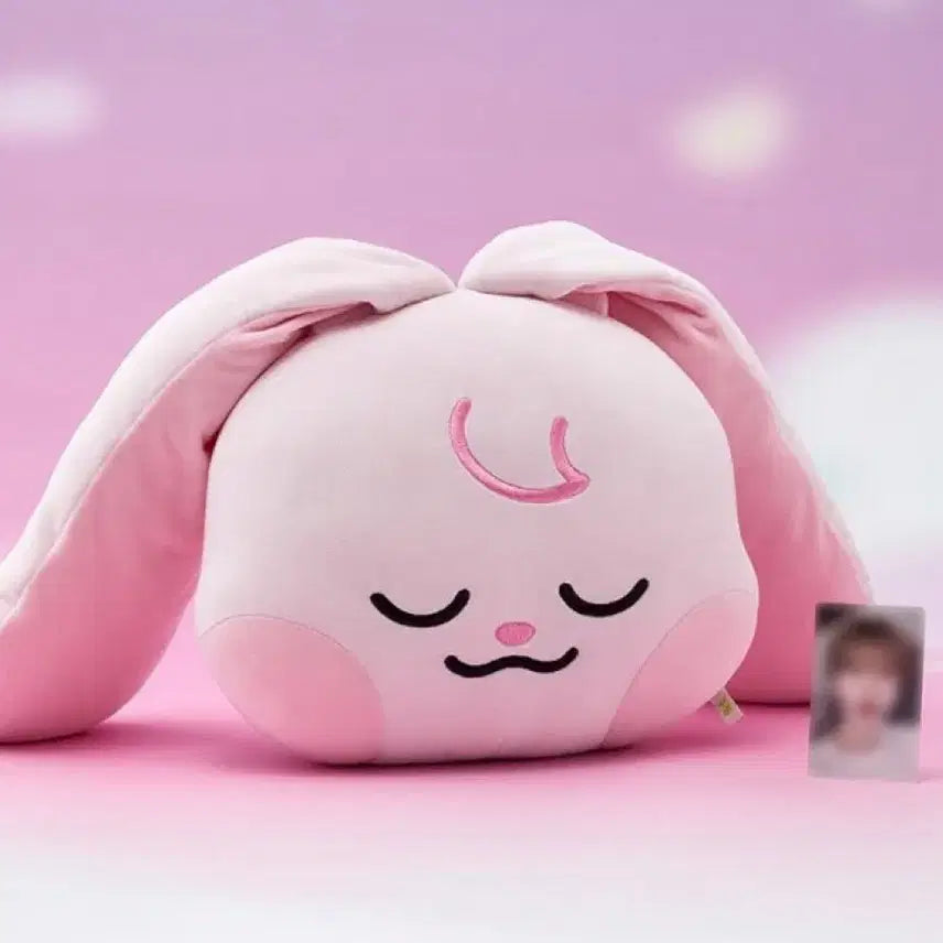 [BUNJANG] Dreamies Gukbing Cushion / 드리미즈 대왕 뀨핑 쿠션